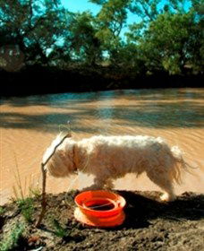 Charleville - 27 Mile Warrego River Fishing Spot - Lightning Ridge Tourism 0