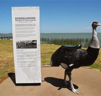 Birdman of the Coorong - Lightning Ridge Tourism