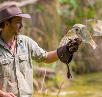 Territory Wildlife Park - Lightning Ridge Tourism