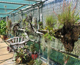 George Brown Darwin Botanic Gardens - Lightning Ridge Tourism 5