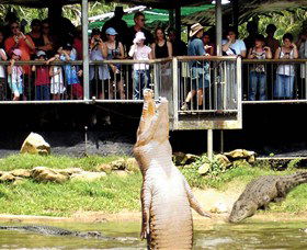 Knuckey Lagoon NT Lightning Ridge Tourism