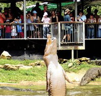 Crocodylus Park - Lightning Ridge Tourism