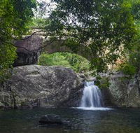 Paluma and Crystal Creek Rainforest - Lightning Ridge Tourism