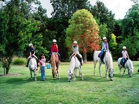 Struan SA Lightning Ridge Tourism