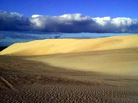 Beachport Conservation Park - Lightning Ridge Tourism 1
