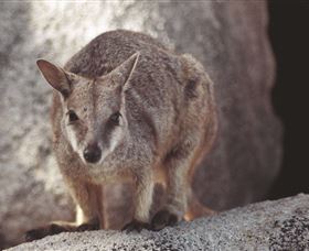 Arcadia At Magnetic Island - Lightning Ridge Tourism 2