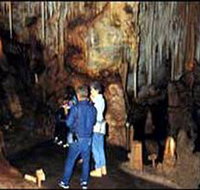Tantanoola Caves Conservation Park - Lightning Ridge Tourism