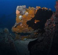 Lady Bowen Dive Site - Lightning Ridge Tourism