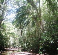Mount Lewis National Park - Lightning Ridge Tourism