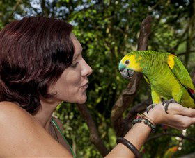 Birdworld Kuranda - Lightning Ridge Tourism 0