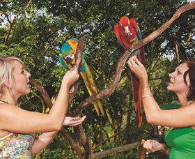 Birdworld Kuranda - Lightning Ridge Tourism 1