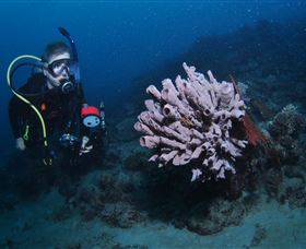 Eddy Reef Dive Site - Lightning Ridge Tourism 1