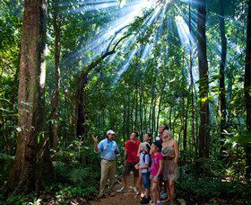 Mossman Gorge Centre - Lightning Ridge Tourism 3