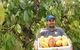 Sweet Farm Tours - thumb 0