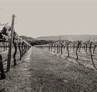 Halls Gap Estate - Lightning Ridge Tourism