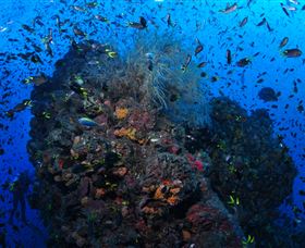 SS Yongala Dive Site - Lightning Ridge Tourism 1