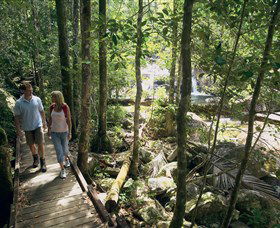Eungella National Park - Lightning Ridge Tourism 2