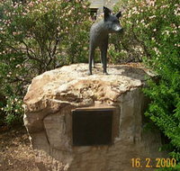 Dingo Statue - Lightning Ridge Tourism