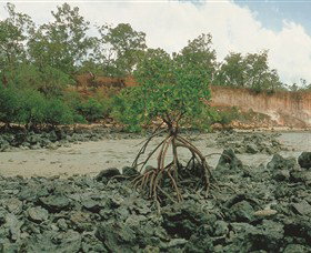 Garig Gunak Barlu National Park - Lightning Ridge Tourism 3