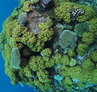 Keeper Reef Dive Site - Lightning Ridge Tourism