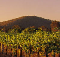 Taltarni Vineyards - Lightning Ridge Tourism