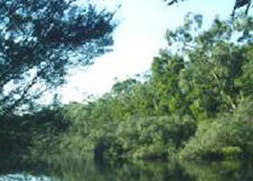 Hotspur ACT Lightning Ridge Tourism