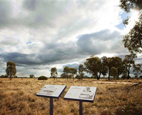 Backroads Trail - Lightning Ridge Tourism 2