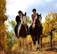 Billabong Ranch - Lightning Ridge Tourism