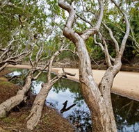 Oyala Thumotang National Park CYPAL - Lightning Ridge Tourism