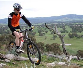 Wimmera Hills Winery - Lightning Ridge Tourism 2