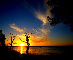 Lake Cowal - Lightning Ridge Tourism 0