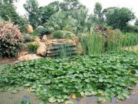 Mackenzie Park - Lightning Ridge Tourism 0