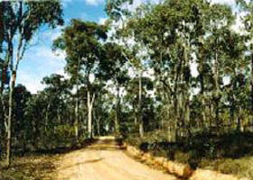 Paddys Ranges State Park - Lightning Ridge Tourism 0