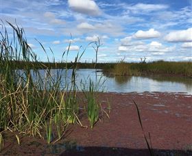 Gwydir Wetlands - Lightning Ridge Tourism 0