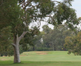 Tocumwal Golf Club - Lightning Ridge Tourism 2