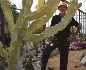 Cactus Country - Lightning Ridge Tourism 0