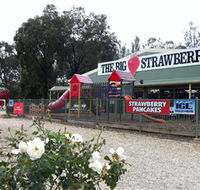 The Big Strawberry - Lightning Ridge Tourism