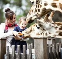 Taronga Western Plains Zoo Dubbo - Lightning Ridge Tourism