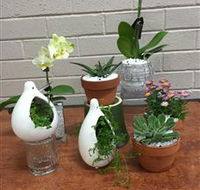 Cobram Florist - Lightning Ridge Tourism