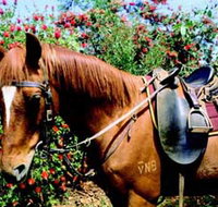 Western Plains Riding Centre - Lightning Ridge Tourism
