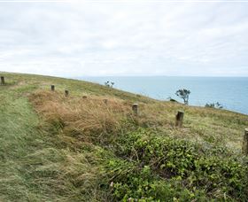 Cape Palmerston National Park - Lightning Ridge Tourism 3