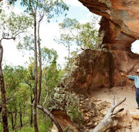 Pilliga National Park - Lightning Ridge Tourism