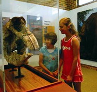 Australian Museum Diprotodon Exhibition - Lightning Ridge Tourism