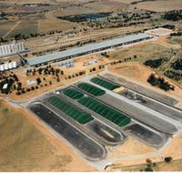 Co-operative Bulk Handling CBH Wheat Storage and Transfer Depot - Lightning Ridge Tourism