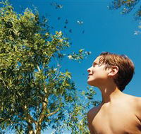Birdwatching on Keswick Island - Lightning Ridge Tourism