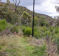 Lynchs loop trail - Lightning Ridge Tourism