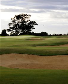Black Bull Golf Club - Lightning Ridge Tourism 0