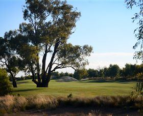 Black Bull Golf Club - Lightning Ridge Tourism 2