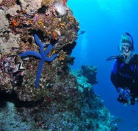 Lighthouse Bommie Dive Site - Lightning Ridge Tourism