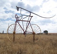 Animals on Bikes - Lightning Ridge Tourism